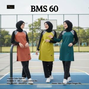 BMS 60