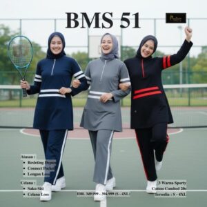 BMS 51